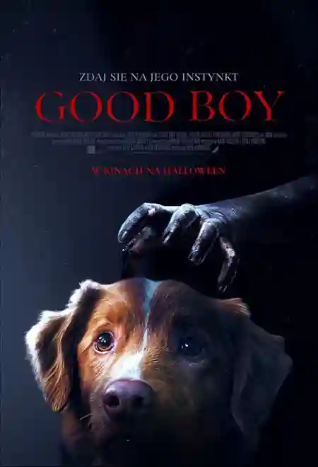 GOOD BOY cały film